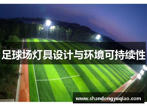 足球场灯具设计与环境可持续性